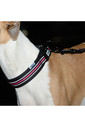 2022 Weatherbeeta Reflective Dog Collar 1003618 - Black / Pink